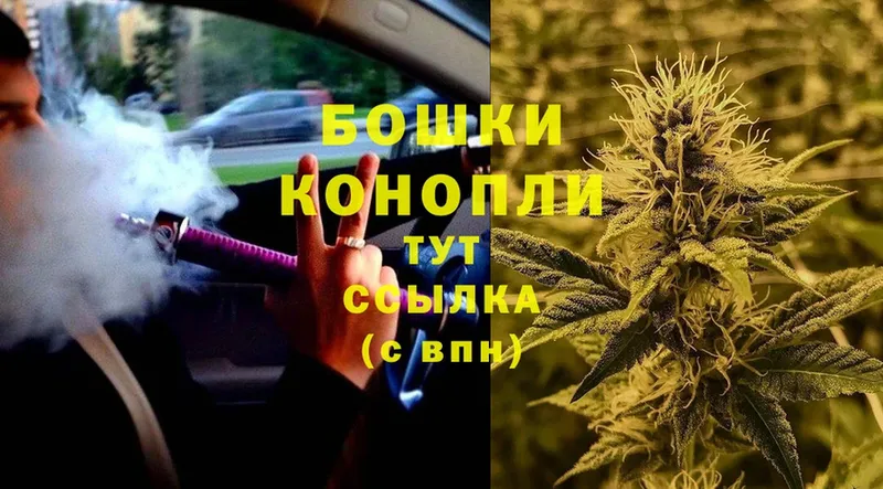 МАРИХУАНА SATIVA & INDICA  Реутов 